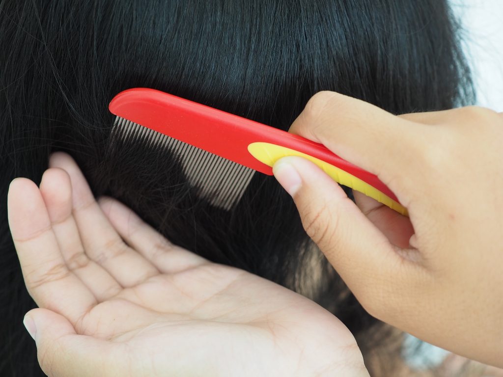 Come si trasmettono i pidocchu